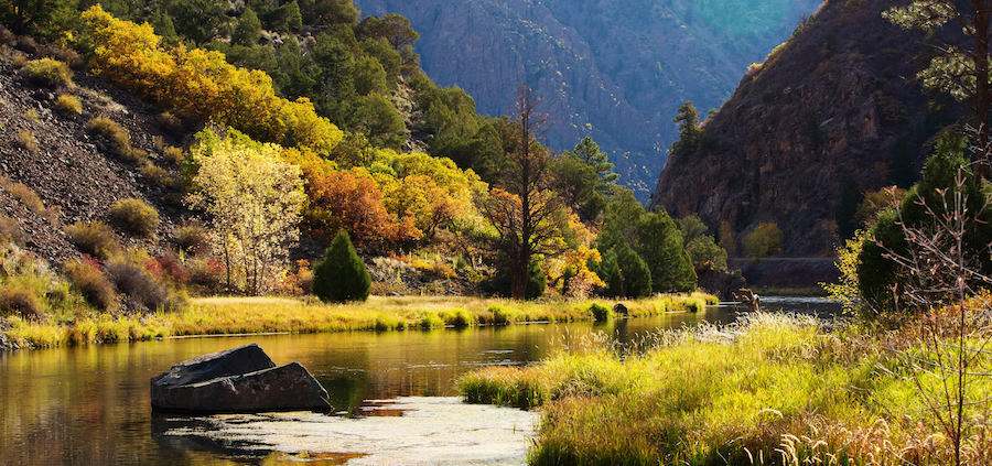 The Montrose Colorado Lifestyle | The Gleason Team